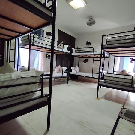 A Sleepy Fox Hostel 뉴델리 외부 사진