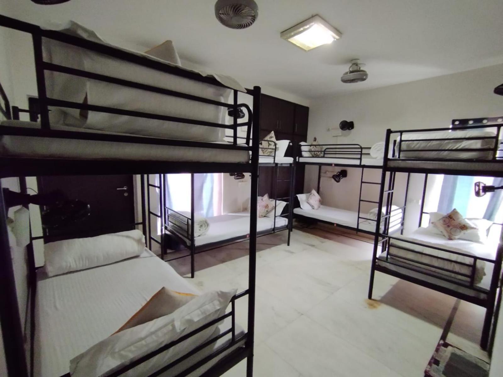 A Sleepy Fox Hostel 뉴델리 외부 사진