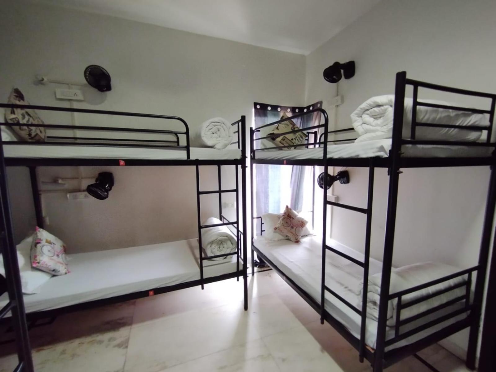A Sleepy Fox Hostel 뉴델리 외부 사진
